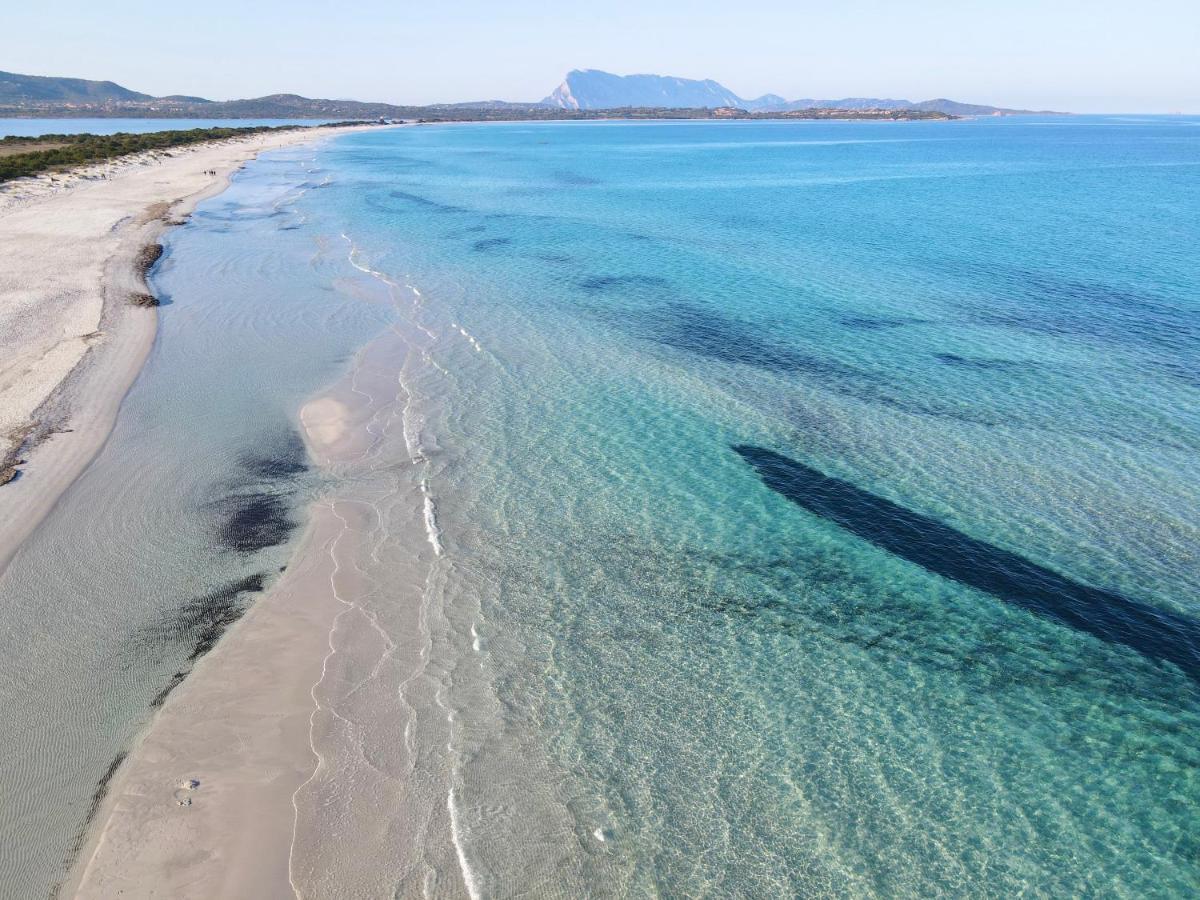Appartamento Il Corbezzolo, Trilocale piano terra, vista mare, ottima posizione San Teodoro  Esterno foto